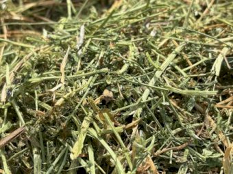 Vetch Hay 550kg 8x4x3 Bales