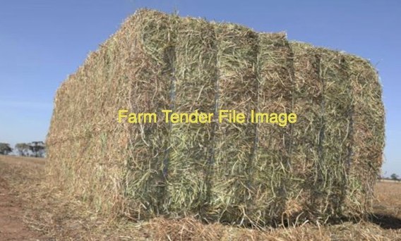 62mt Vetch Hay 8x4x3 Bales
