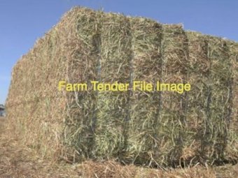 62mt Vetch Hay 8x4x3 Bales