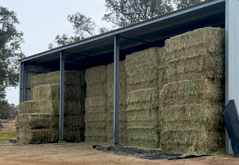 125mt Wheaten Rye Hay 500kg 8x4x3 Bales