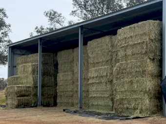 125mt Wheaten Rye Hay 500kg 8x4x3 Bales
