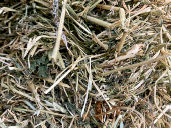 900 x Clover Rye Hay Small Squares