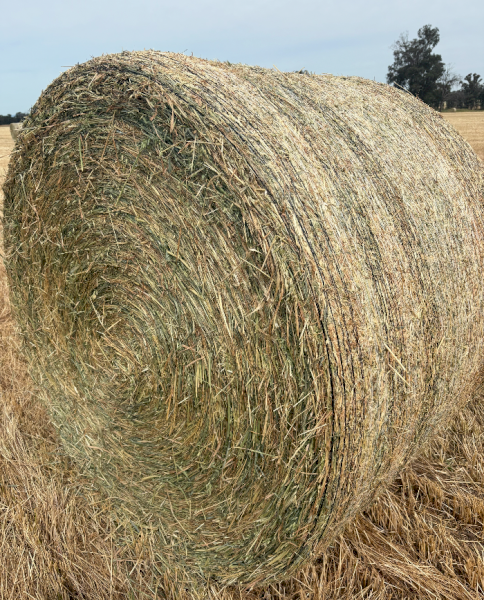240 x Oaten Rye Hay 5x4 Rolls