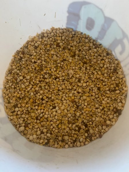 18MT Soy Beans