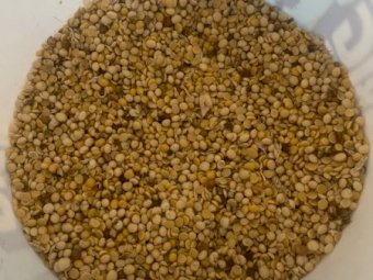 18MT Soy Beans