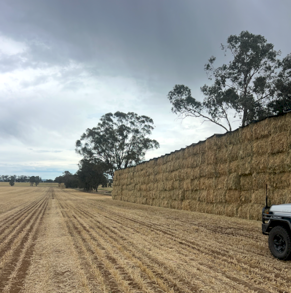 500mt Wheaten Hay 650kg 8x4x3 HD Bales
