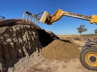 25/26 Pit Maize Silage Cobram and Finley area available now