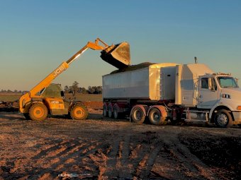 25/26 Pit Maize Silage Cobram and Finley area available now