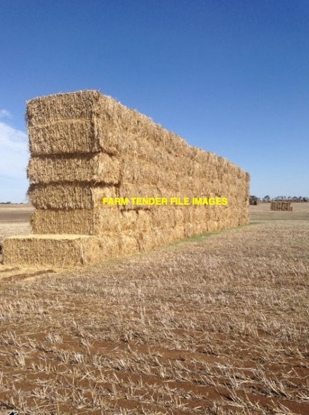 125mt Wheaten Rye Hay 500kg 8x4x3 Bales