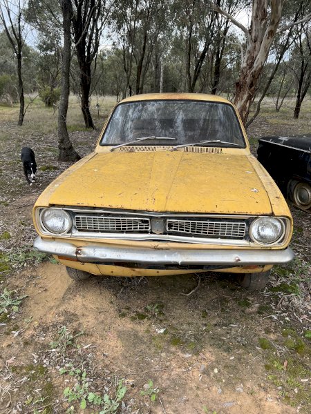 LJ Torana