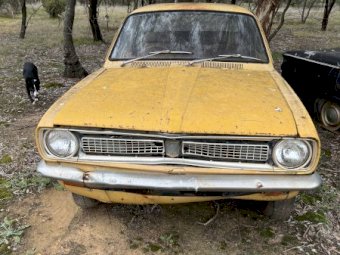 LJ Torana