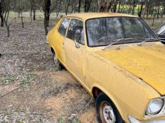 LJ Torana