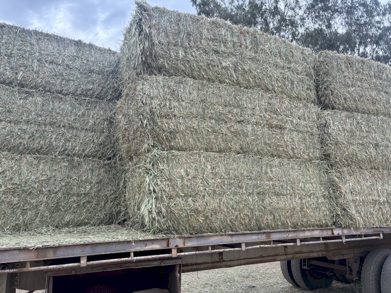 Shedded Wheaten Hay 8x4x3 Bales