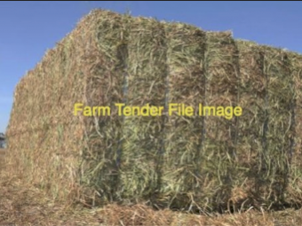 WANTED - 200MT Barley / Pasture Hay 8X4X3 Large Square Bales