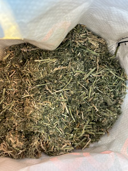25 Season Vetch Hay