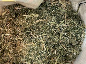 25 Season Vetch Hay