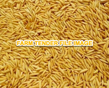 WANTED Paddy Rice