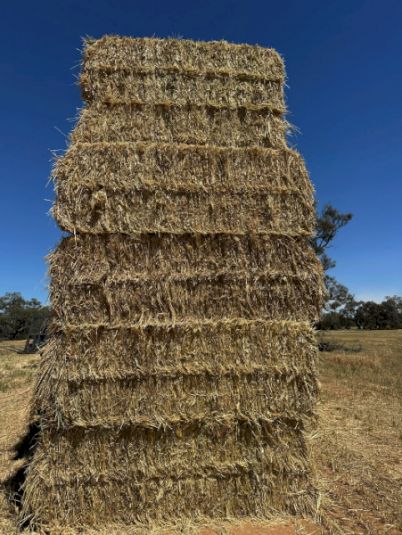 Oaten Hay 8X4X3 Large Square Bales Top bales