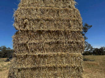 Oaten Hay 8X4X3 Large Square Bales Top bales