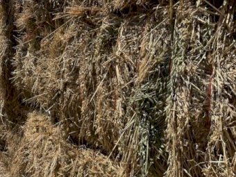 Oaten Hay 8X4X3 Large Square Bales Top bales