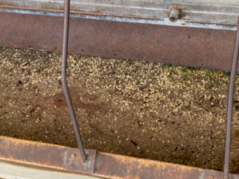 Sherwell Cattle Feeder