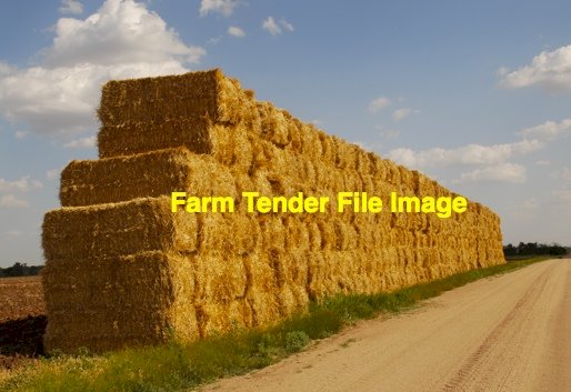 200mt Barley Straw 550-600kg 8x4x3 Bales