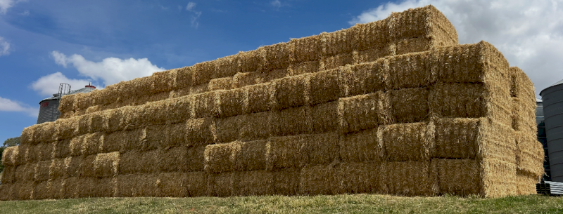 150mt Barley Straw 8x4x3 Bales