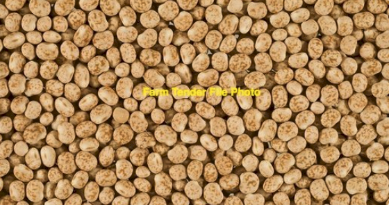 20MT Coyote Lupins