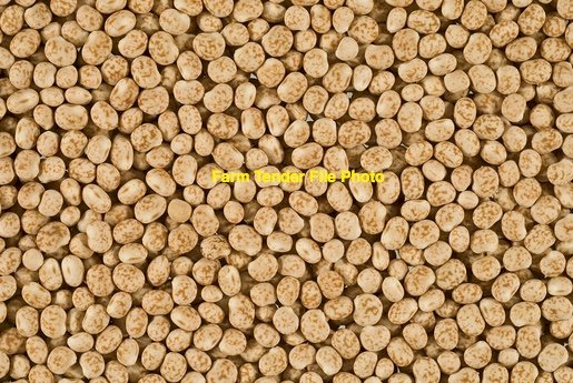 WANTED Lupins Ex Farm