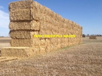 Wheaten Hay 8x4x3 Bales