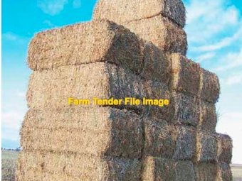 Canola Hay 8x4x3 Bales