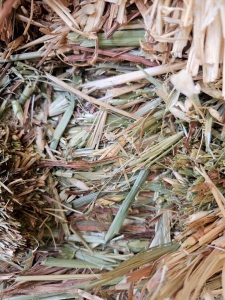 140 mt Oaten Hay 8x4x3  25/26 Season