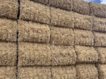Irrigated Barley Straw 500 Bales