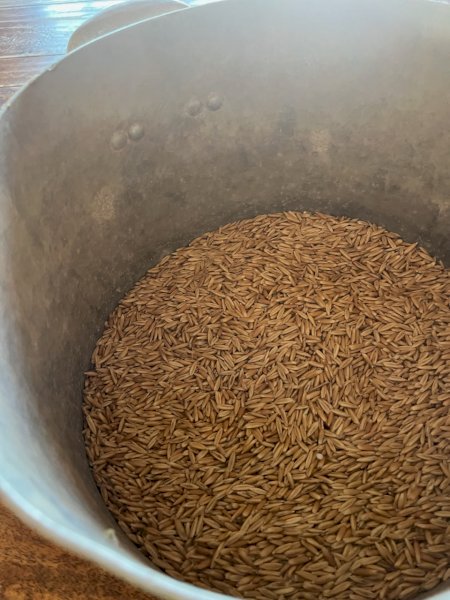 5MT Winteroo Oats Seed