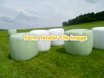 100 Bales Rye Grass Silage