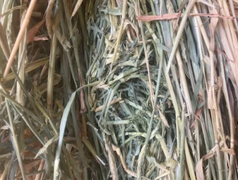 100mt Awnless Wheaten Hay 550kg 8x4x3 Bales