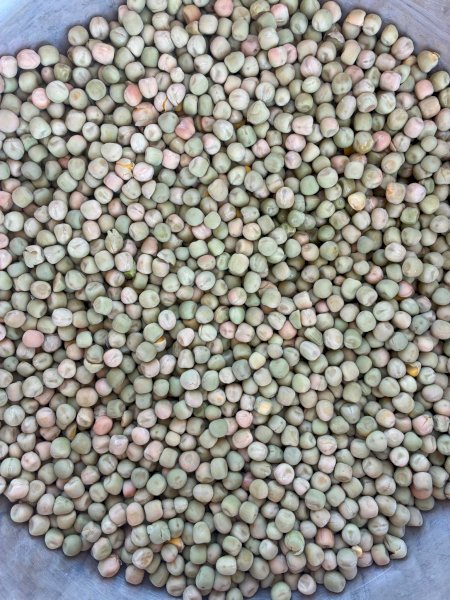Oura Field Peas
