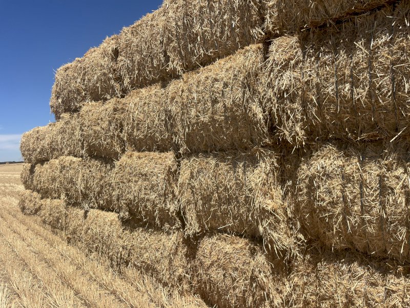 Wheaten Straw 8x4x3 Bales