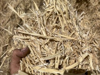 Wheaten Straw 8x4x3 Bales