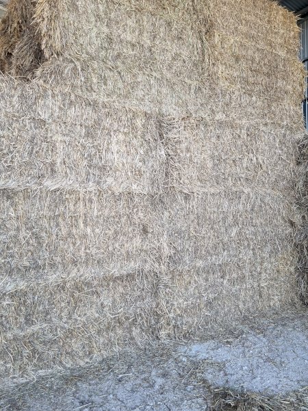 90mt Oaten Hay 480kg 8x4x3 Bales