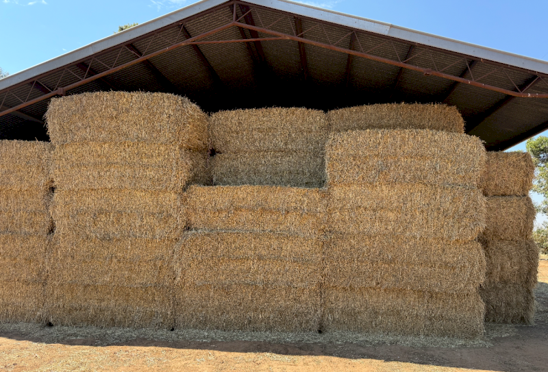 200mt Wheaten Hay 600-620kg 8x4x3 Bales