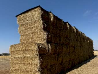 200mt Wheaten Hay 600-620kg 8x4x3 Bales