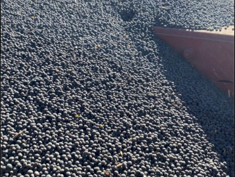Popany Vetch Seed