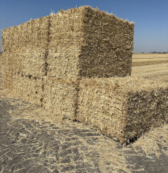 Wheaten Straw Small Square Bales x 1000