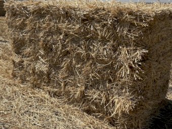 Wheaten Straw Small Square Bales x 1000