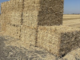 Wheaten Straw Small Square Bales x 1000