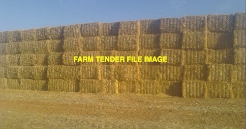 500 mt Barley Header Tailings