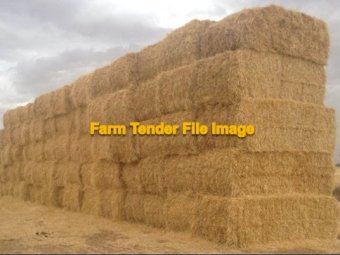 500 mt Wheat Header Tailings