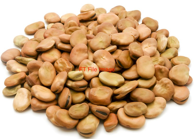 125 mt Faba Beans