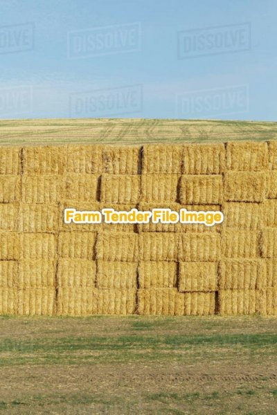 700 mt Long Windrowed Barley Straw 
